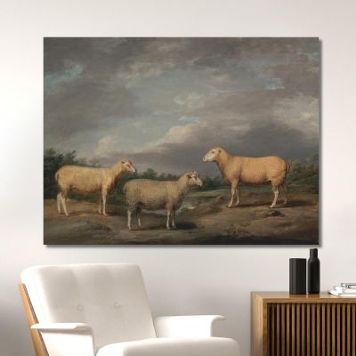 Ryelands Sheep The King'S Ram The King'S Ewe And Lord Somerville'S Wether James Ward jwr32 canvas print 
