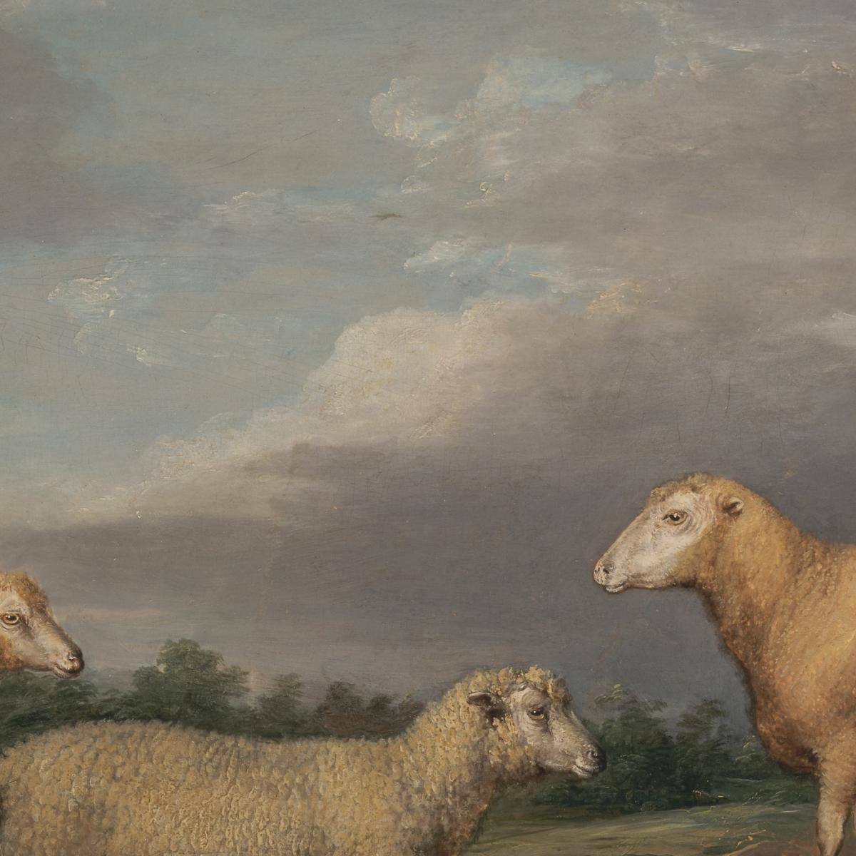 Ryelands Sheep The King'S Ram The King'S Ewe And Lord Somerville'S Wether James Ward jwr32 canvas print