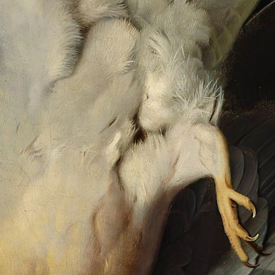 A Dead Wood Pigeon Ferdinand von Wright fvw1 canvas print