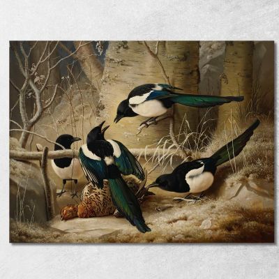 Magpies Round A Dead Female Capercaillie Ferdinand von Wright fvw17 canvas print 