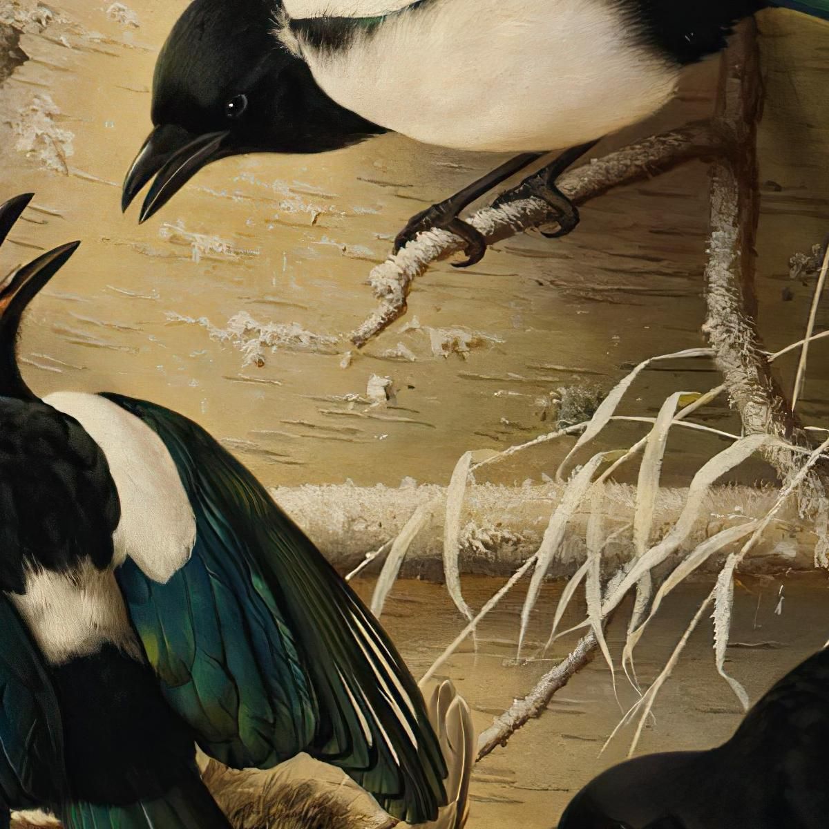 Magpies Round A Dead Female Capercaillie Ferdinand von Wright fvw17 canvas print