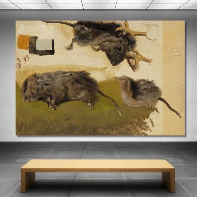Rodents Ferdinand von Wright fvw23 canvas print 
