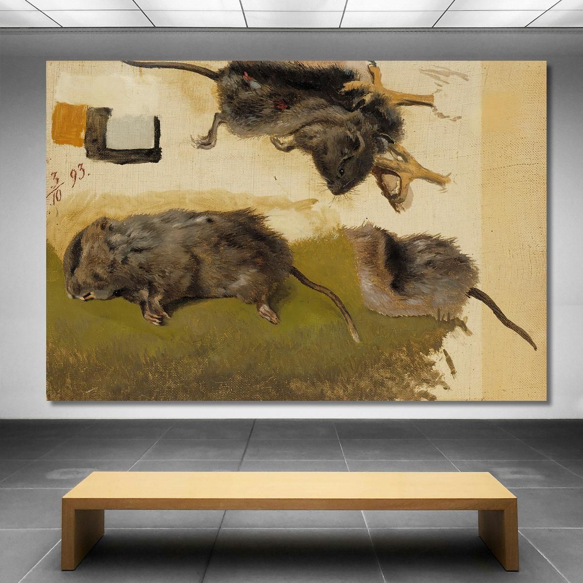 Rodents Ferdinand von Wright fvw23 canvas print 