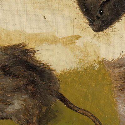 Rodents Ferdinand von Wright fvw23 canvas print