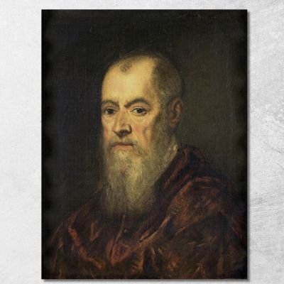 Portrait Of A Man With A Red Cloak Jacopo Tintoretto jtn21 canvas print 