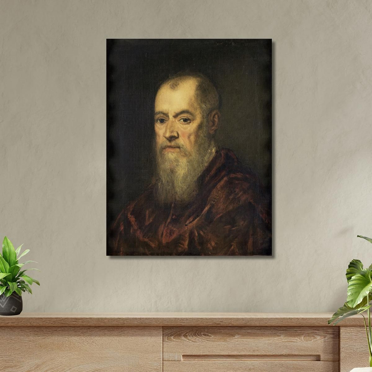Portrait Of A Man With A Red Cloak Jacopo Tintoretto jtn21 canvas print 