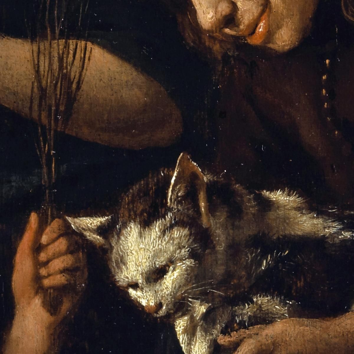 Children Teaching A Cat To Read Jan Steen jsn21 canvas print