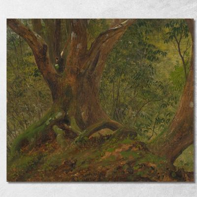 In The Woods Jamaica Frederic Edwin Church fec24 canvas print 