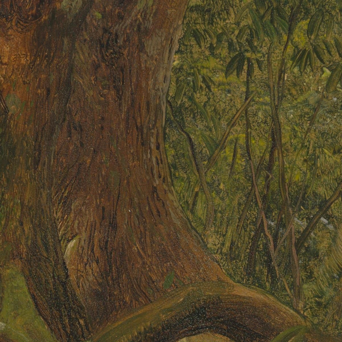 In The Woods Jamaica Frederic Edwin Church fec24 canvas print