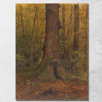 In The Woods Probably Maine Frederic Edwin Church fec25 canvas print 