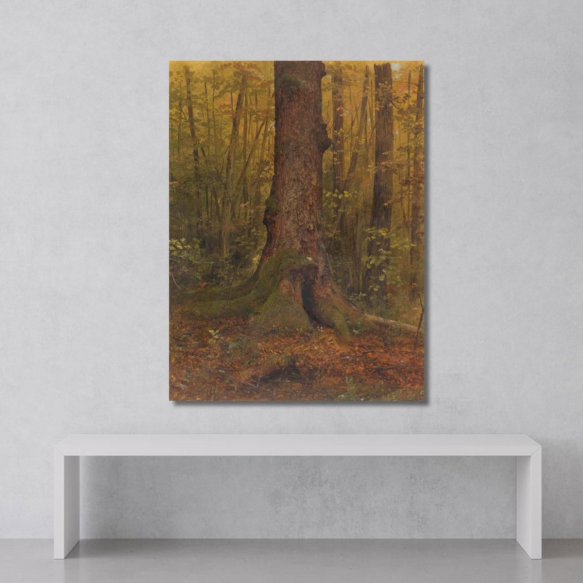 In The Woods Probably Maine Frederic Edwin Church fec25 canvas print 