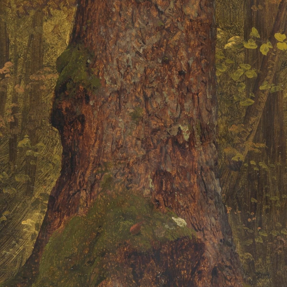 In The Woods Probably Maine Frederic Edwin Church fec25 canvas print