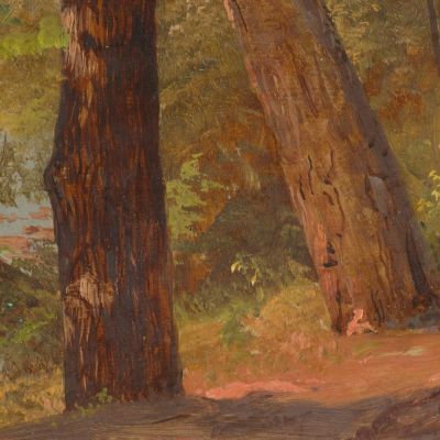 Landscape From North American Road By A Lake Frederic Edwin Church fec32 canvas print