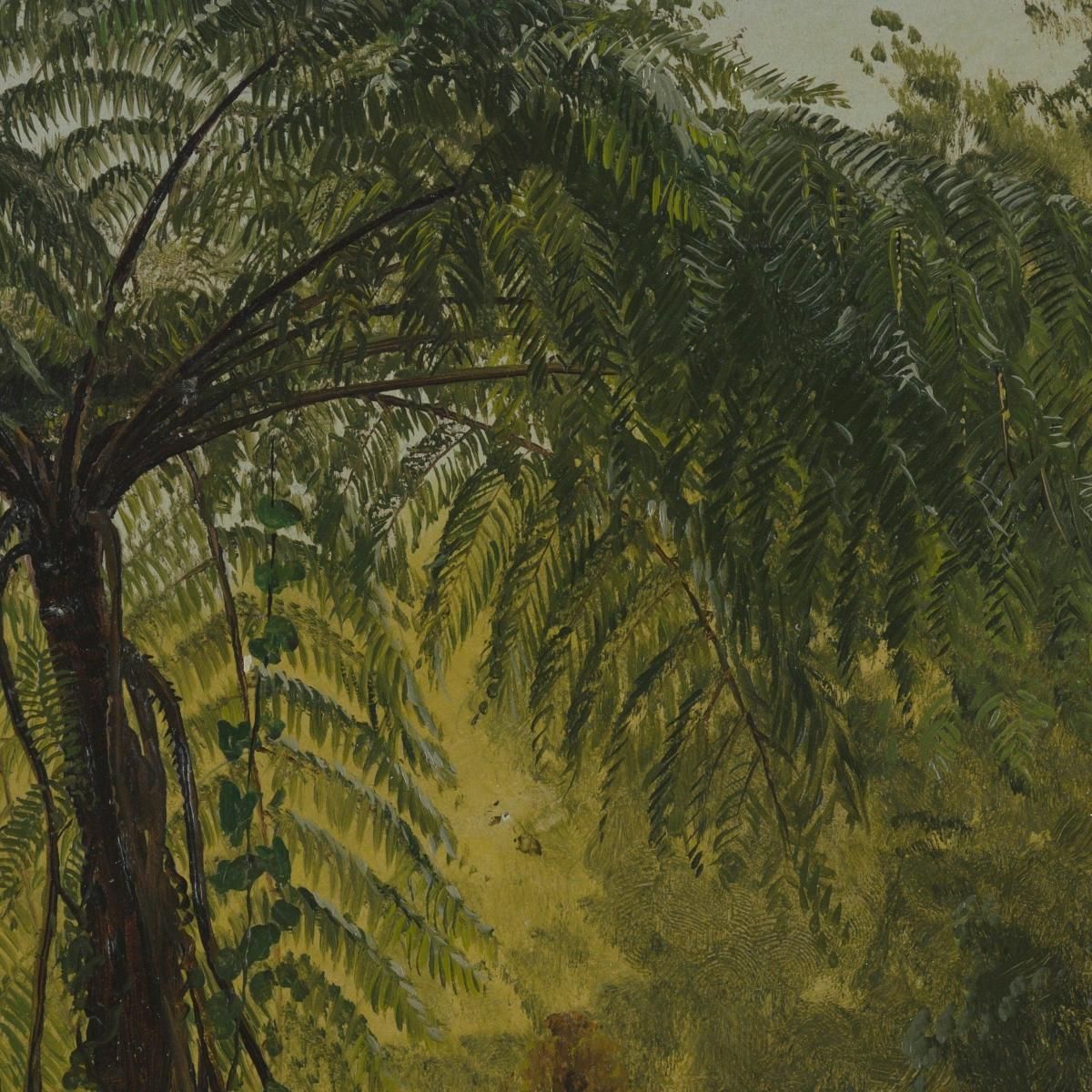 Tropical Landscape Frederic Edwin Church fec113 canvas print