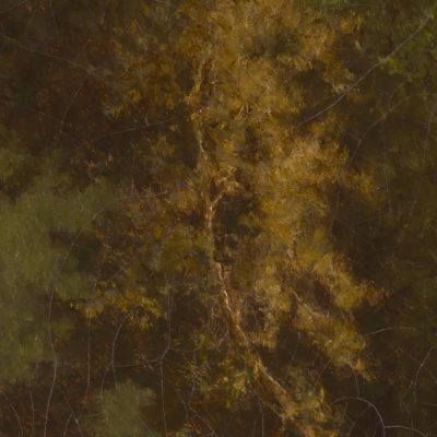Elf Ground George Inness gin25 canvas print