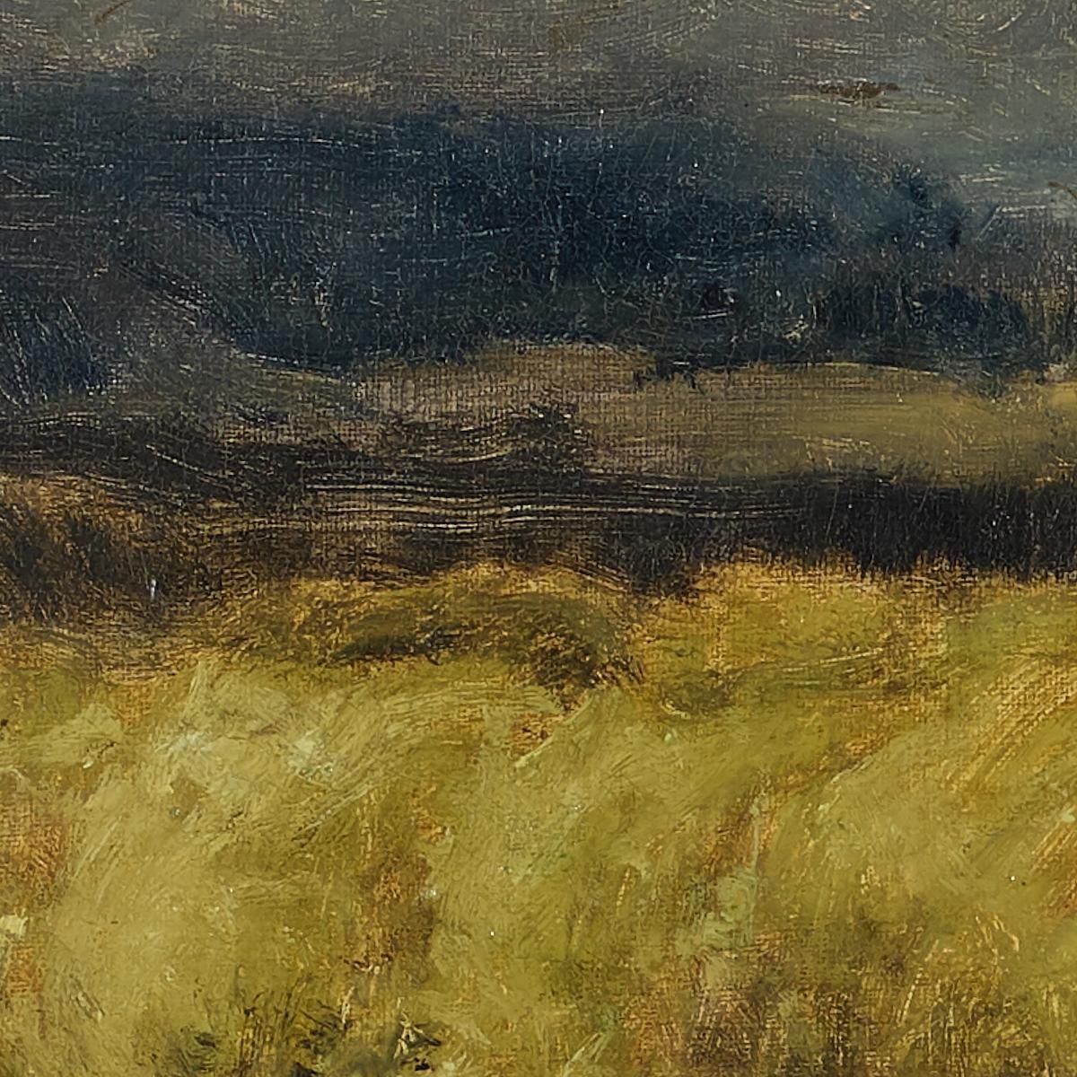 The Coming Storm George Inness gin89 canvas print