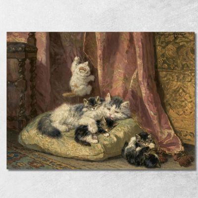 Kittens At Play 4 Henriëtte Ronner-Knip hrk12 canvas print 