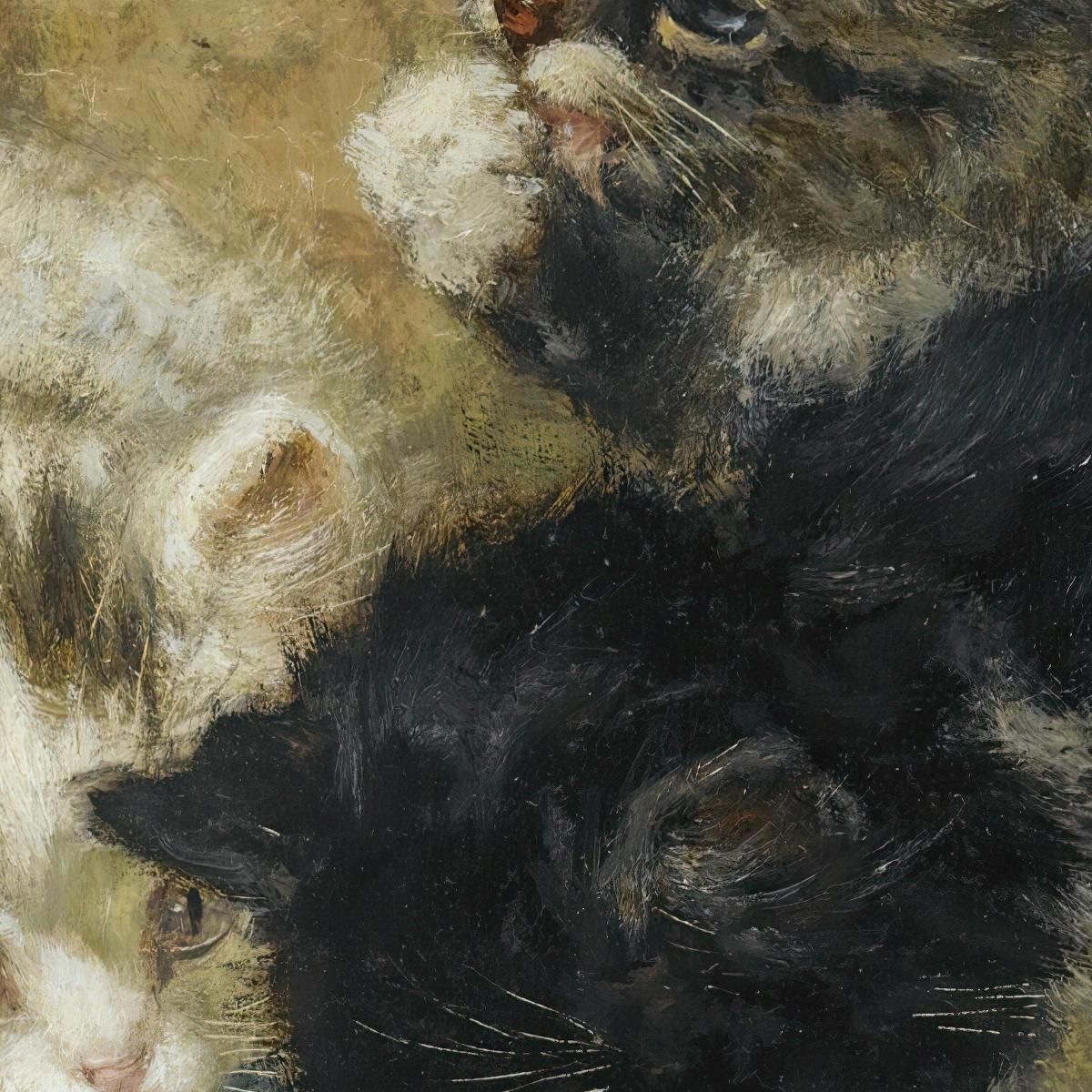 Three Kittens 2 Henriëtte Ronner-Knip hrk25 canvas print