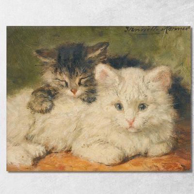 Two Kittens Henriëtte Ronner-Knip hrk31 canvas print 