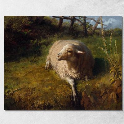 A Sheep At Rest Rosa Bonheur rbn4 canvas print 