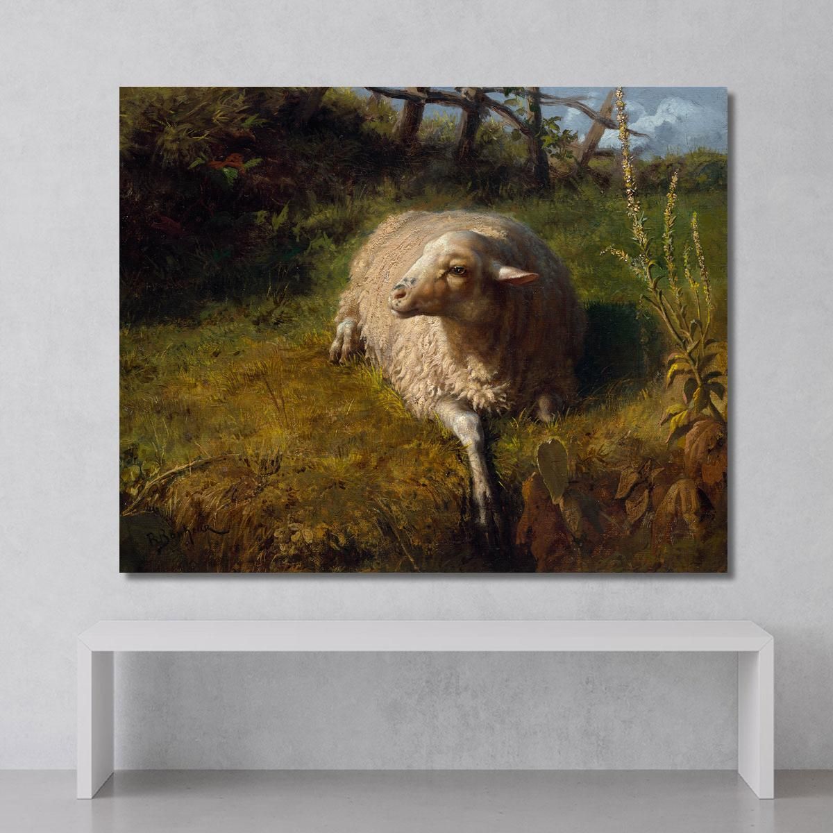 A Sheep At Rest Rosa Bonheur rbn4 canvas print 