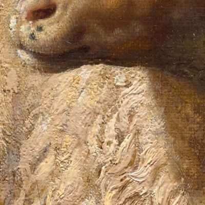 A Sheep At Rest Rosa Bonheur rbn4 canvas print