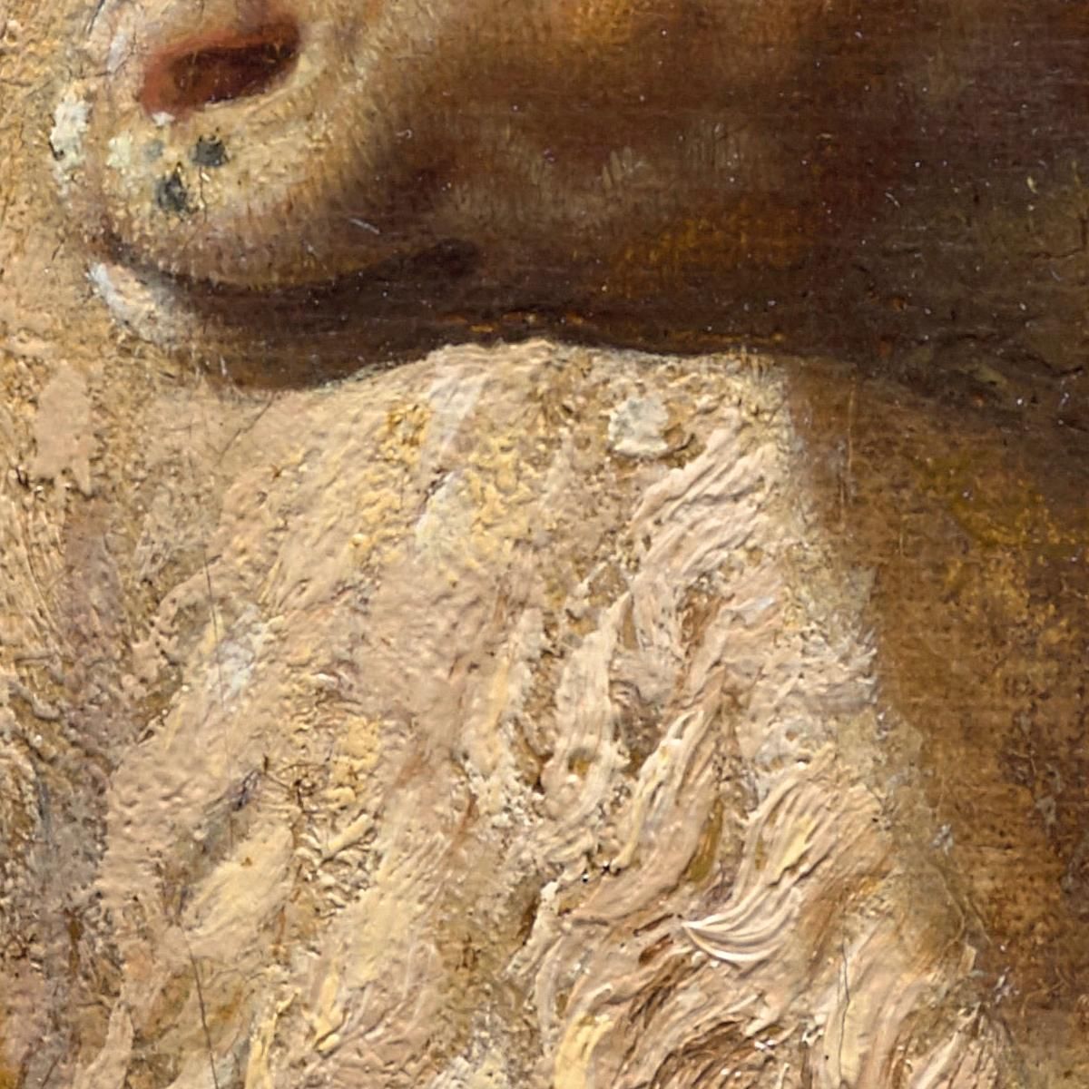 A Sheep At Rest Rosa Bonheur rbn4 canvas print