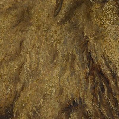 The Merino Sheep Rosa Bonheur rbn25 canvas print
