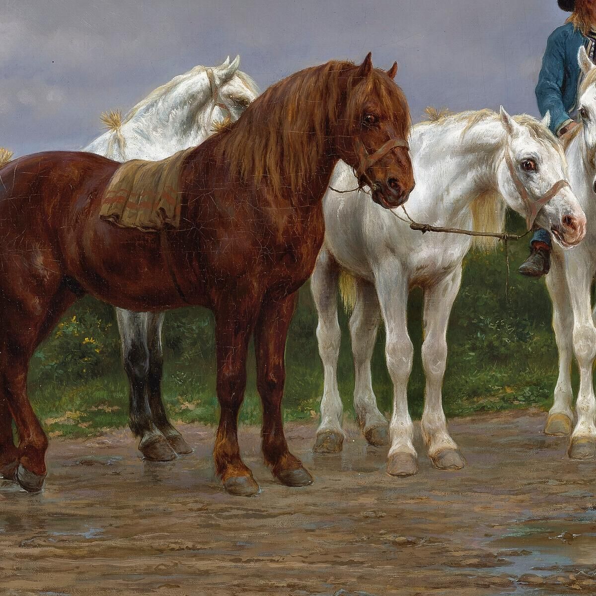 Pyrenees Farmers Market Bound Rosa Bonheur rbn36 canvas print