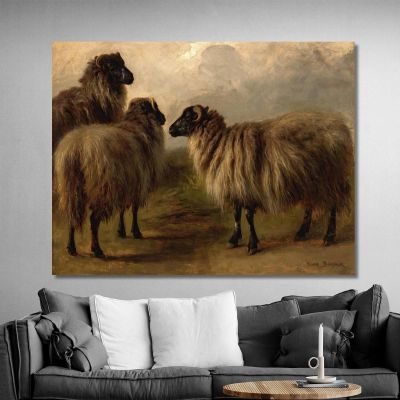 Three Woolly Sheep Rosa Bonheur rbn52 canvas print 