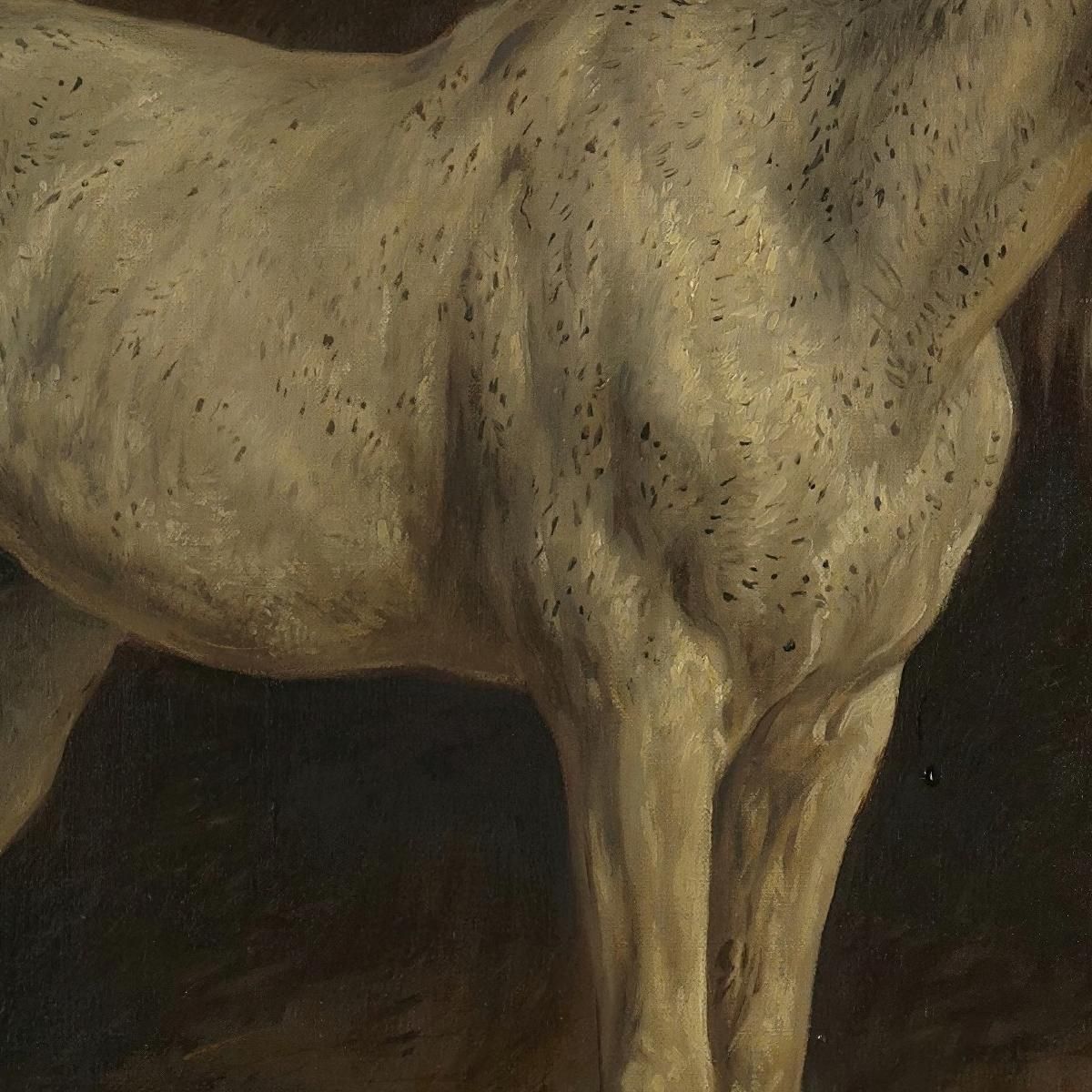 White Horse Rosa Bonheur rbn64 canvas print