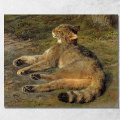 Wild Cat Rosa Bonheur rbn66 canvas print 