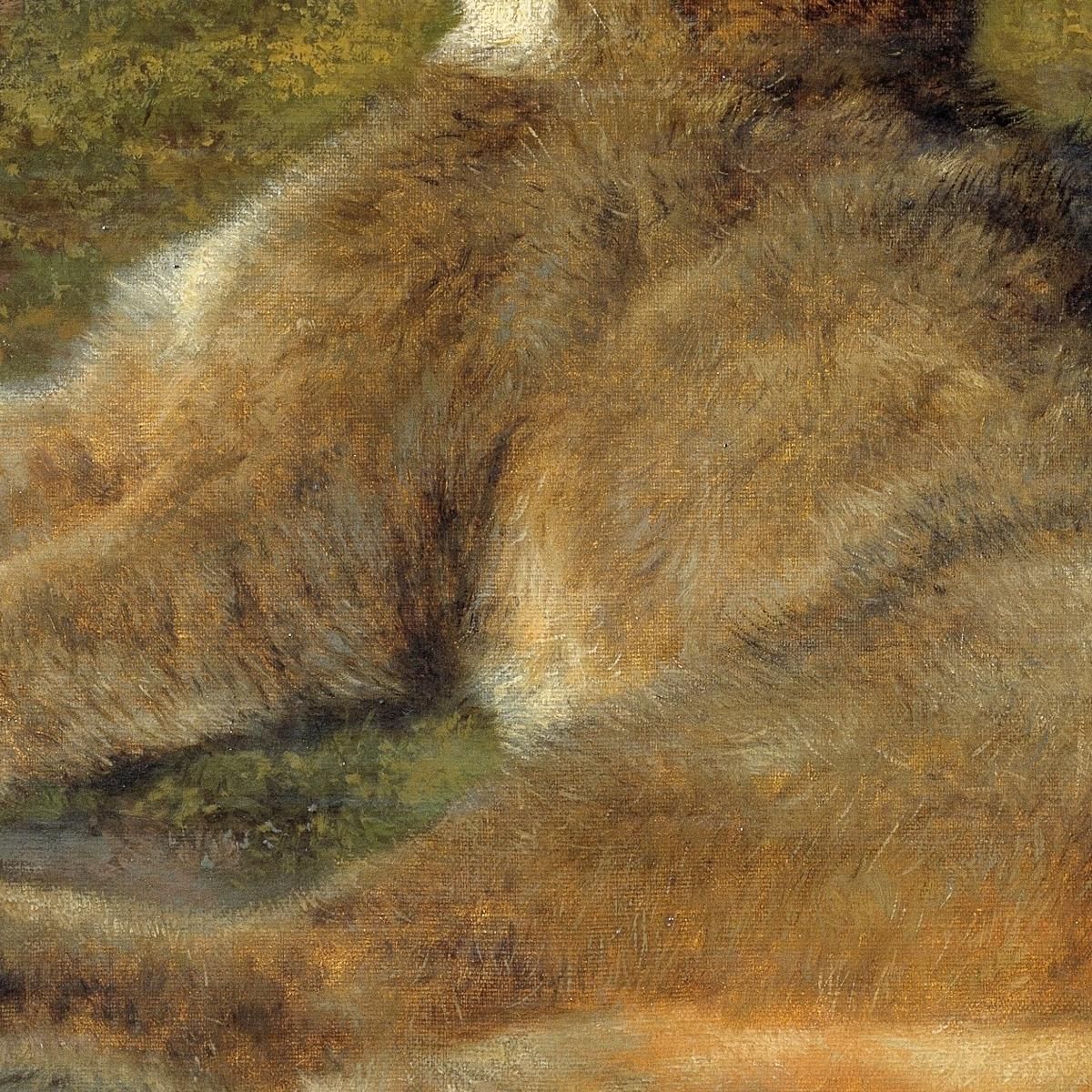 Wild Cat Rosa Bonheur rbn66 canvas print