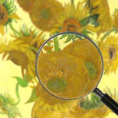 Sunflowers Van Gogh Vincent canvas print vvg1