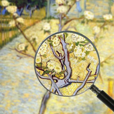Small Pear Tree In Blossom Van Gogh Vincent canvas print vvg8