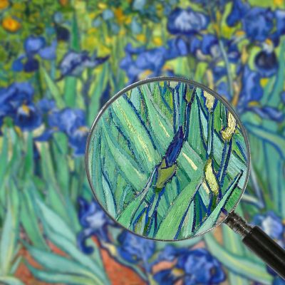 Irises 1889 Van Gogh Vincent canvas print vvg18
