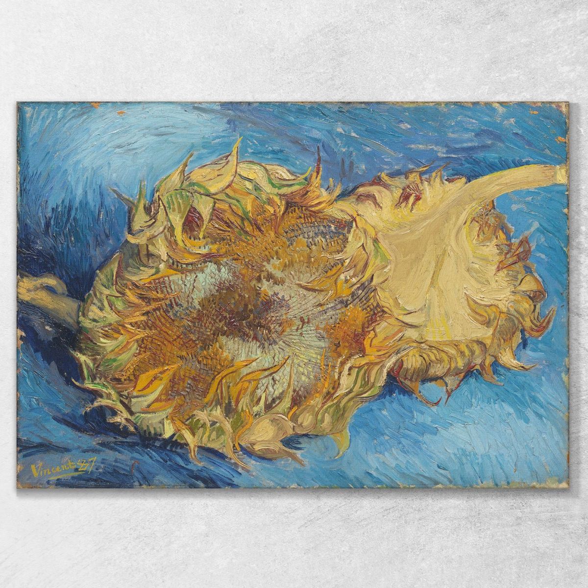 Two Cut Sunflowers Van Gogh Vincent canvas print vvg32