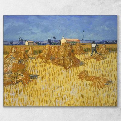 Harvest In Provence Van Gogh Vincent canvas print vvg56