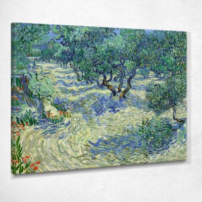 Olive Orchard Van Gogh Vincent canvas print vvg67