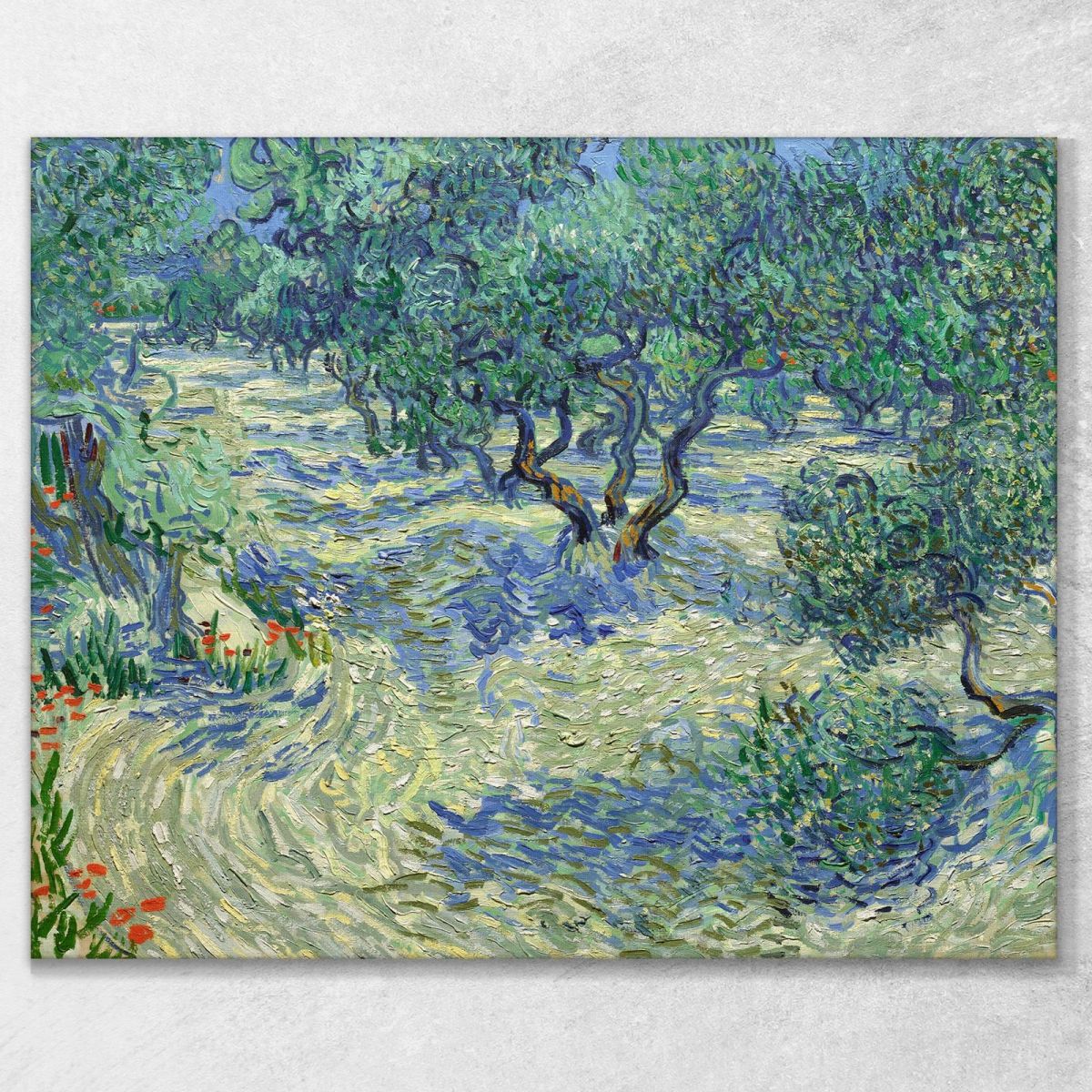 Olive Orchard Van Gogh Vincent canvas print vvg67