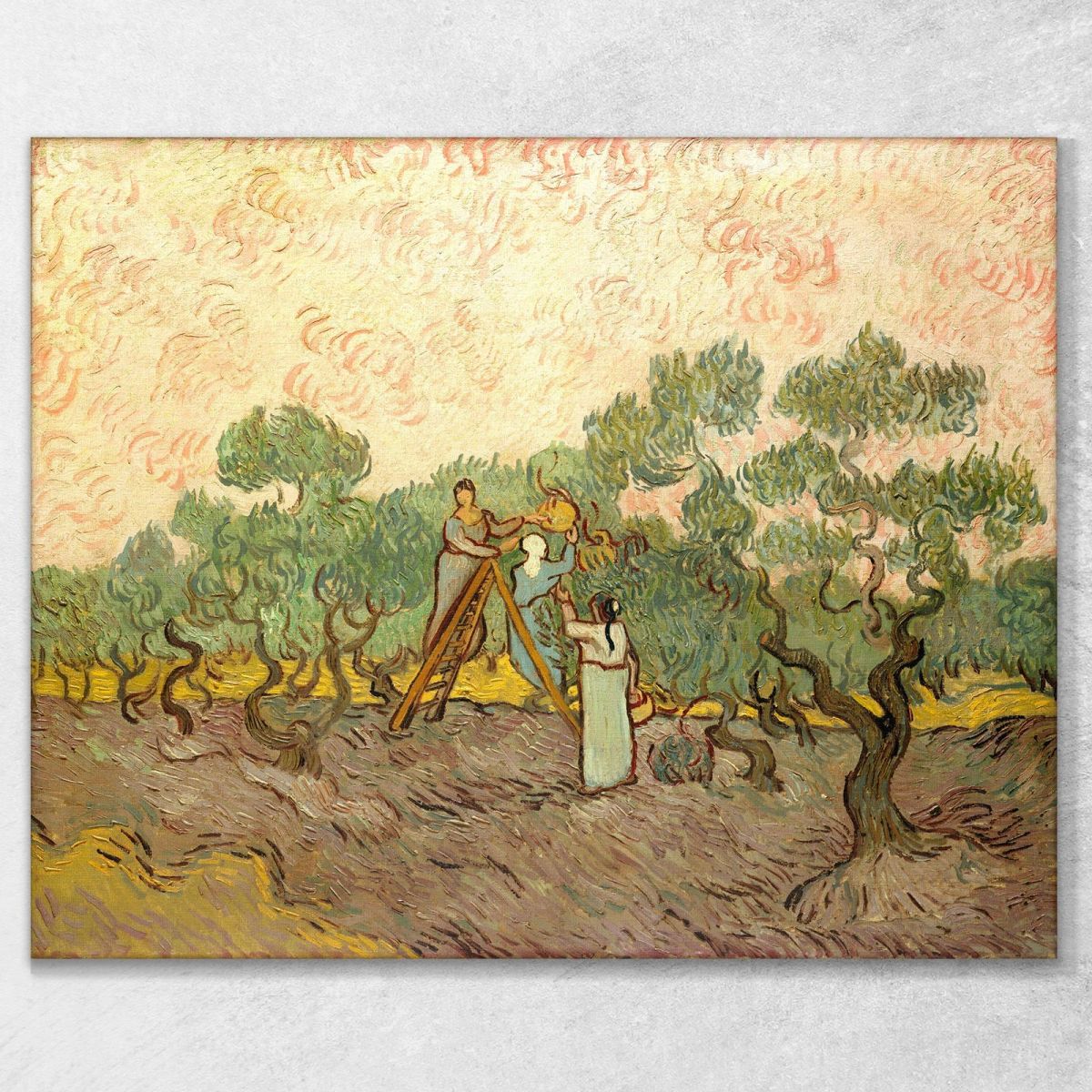 Women Picking Olives Van Gogh Vincent canvas print vvg82