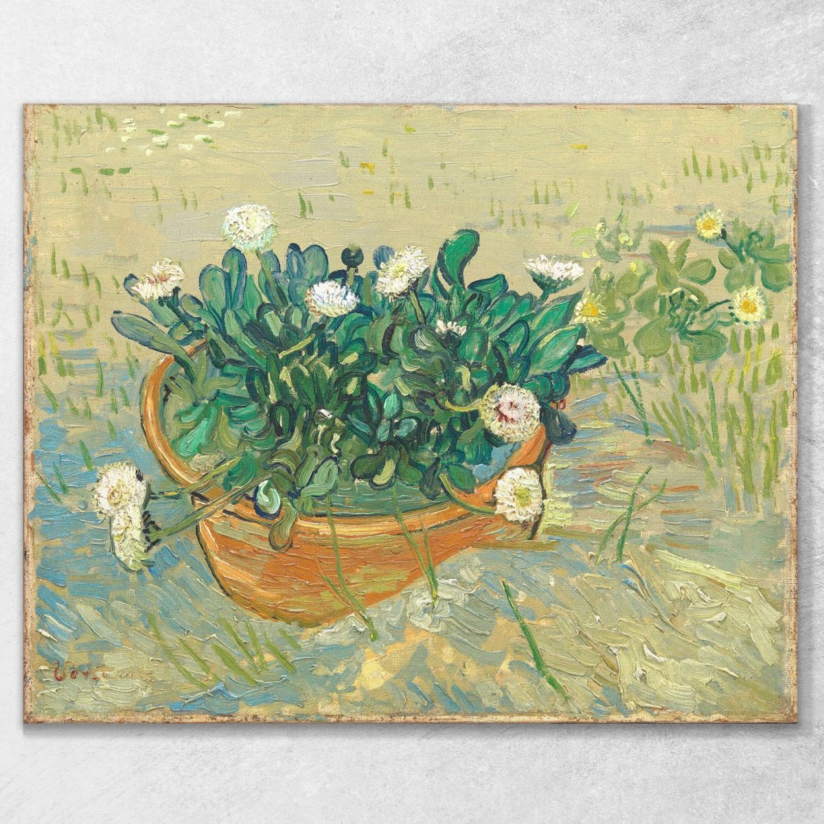 Daisies, Arles Van Gogh Vincent canvas print vvg110