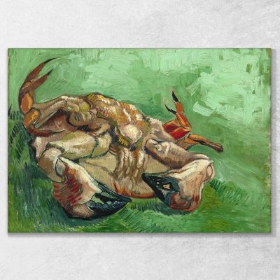 A Crab On Its Back Van Gogh Vincent canvas print vvg111