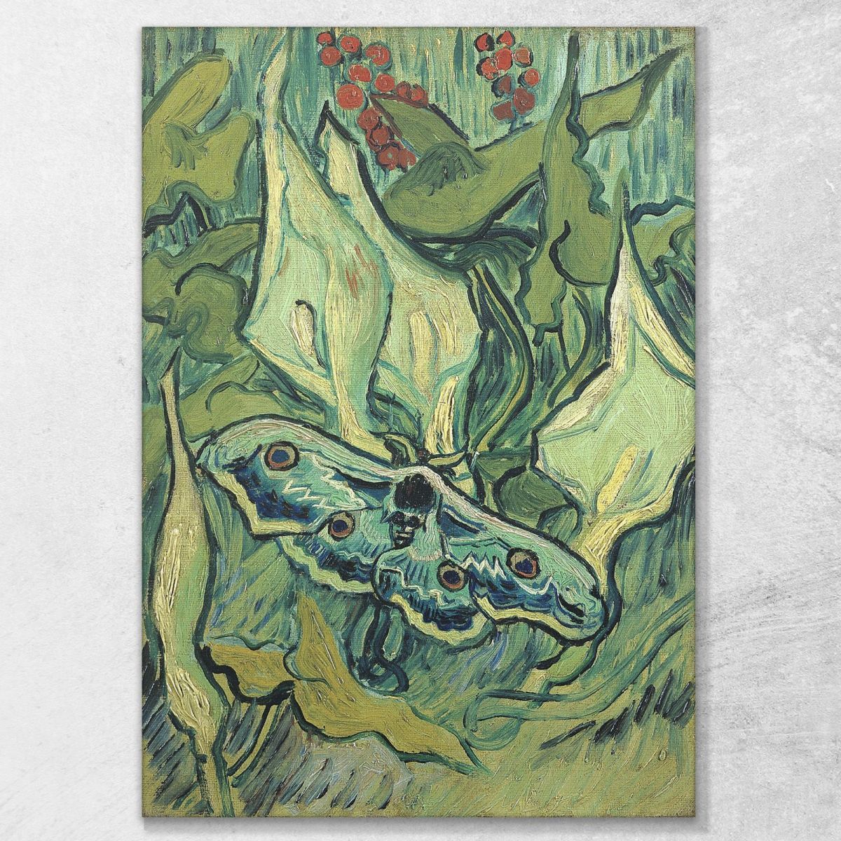 Giant Peacock Moth Van Gogh Vincent canvas print vvg132