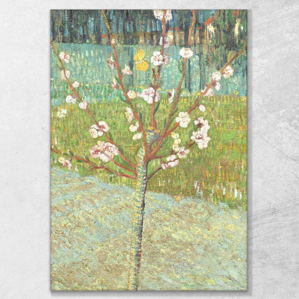 Peach Tree In Blossom Van Gogh Vincent canvas print vvg139