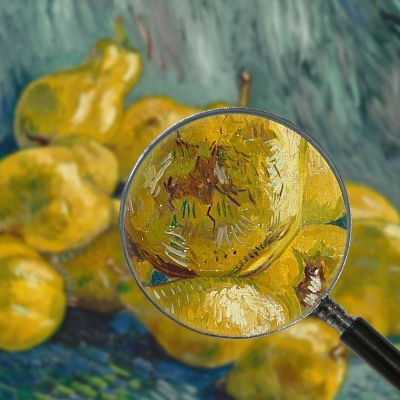 Still Life With Quinces Van Gogh Vincent canvas print vvg145