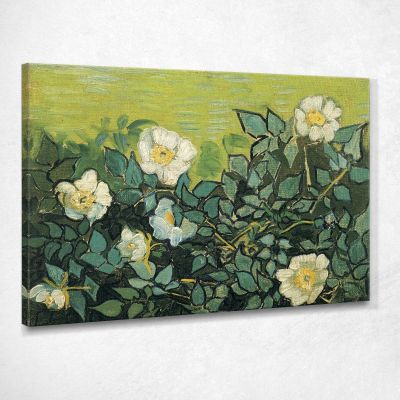 Wild Roses Van Gogh Vincent canvas print vvg179