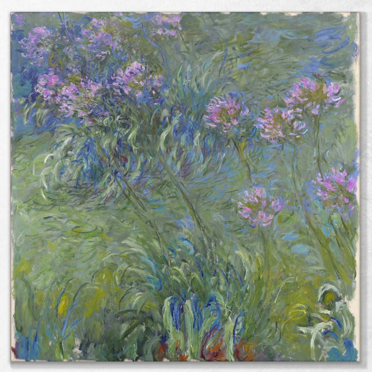 Agapanthus Flowers, 1914 Monet Claude canvas print mnt2