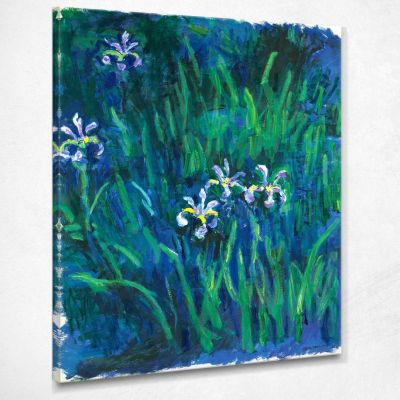Irises, 1914 Monet Claude canvas print mnt33