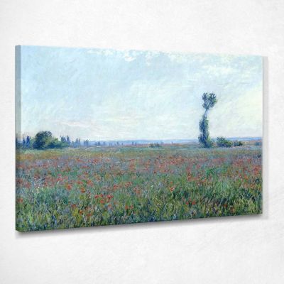 Poppy Field, 1881 Monet Claude canvas print mnt46